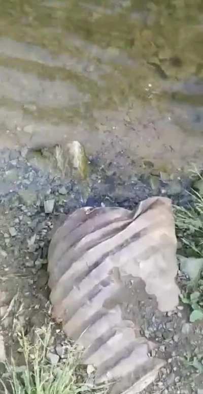 We all float down here