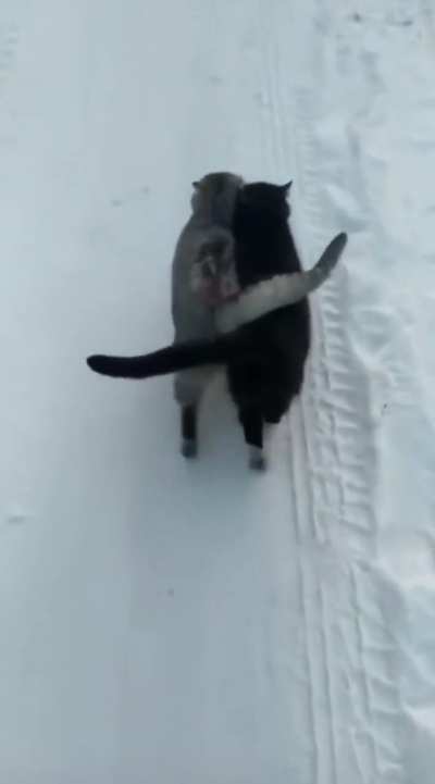 Best friend for life&hellip;