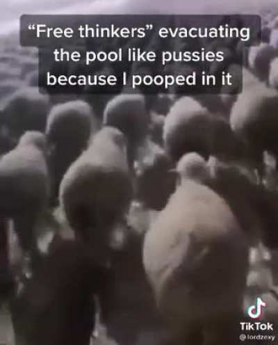 Rule