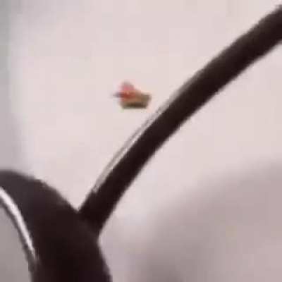 hes gone