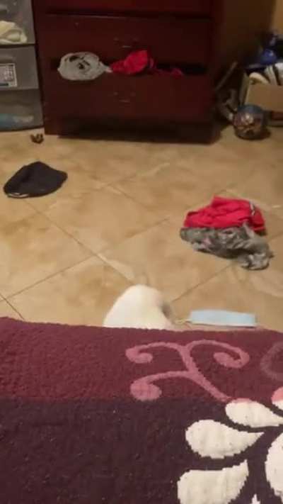She attac