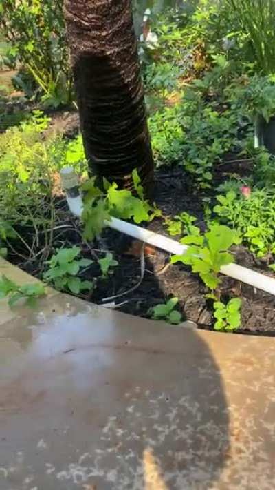 When the homeowner says he&rsquo;s an engineer&hellip;
