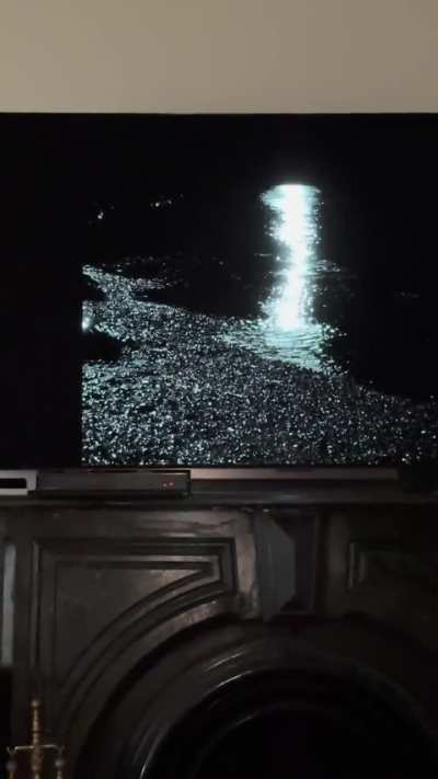 Watching the lighthouse with my cat