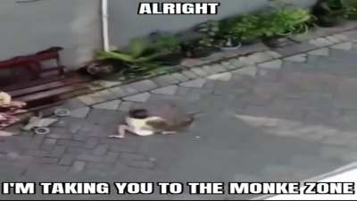 Y