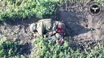 A kamikaze drone from the AFU Strike Drone Company eviscerates an RU soldier and records his reaction (graphic warning).