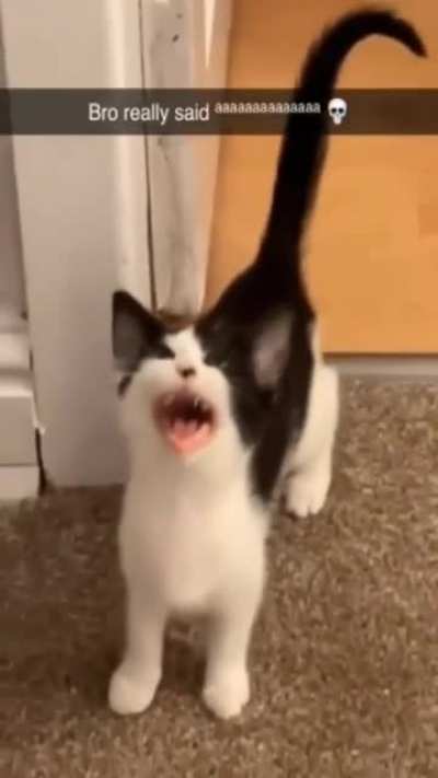 AAAAAAAAAAAAAAAA