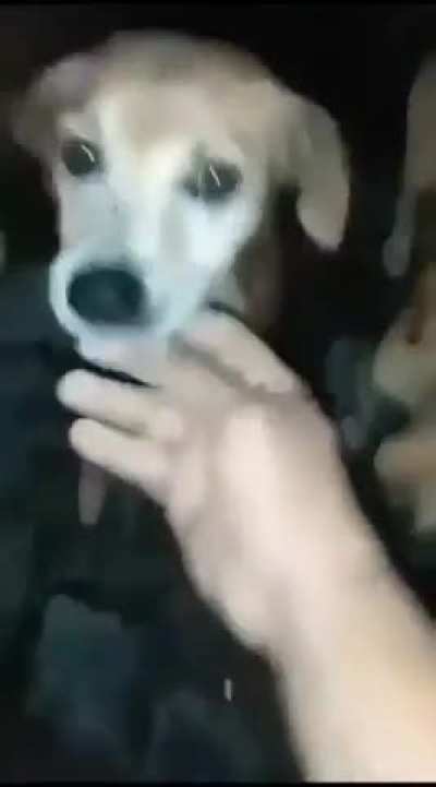 😳