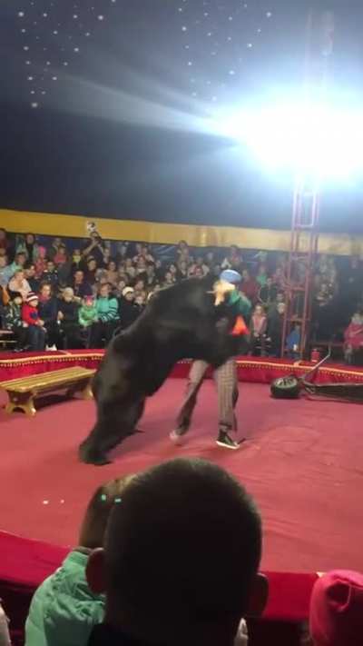 rise of the bear