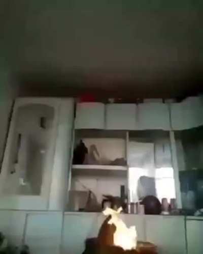 oof