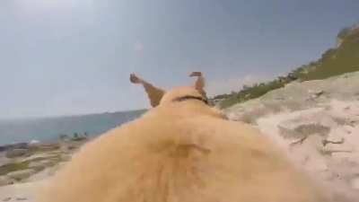 &ldquo;The ocean... it calls me!!!&rdquo;