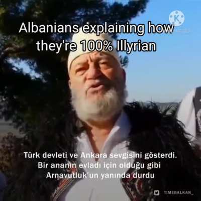 Average Albanian