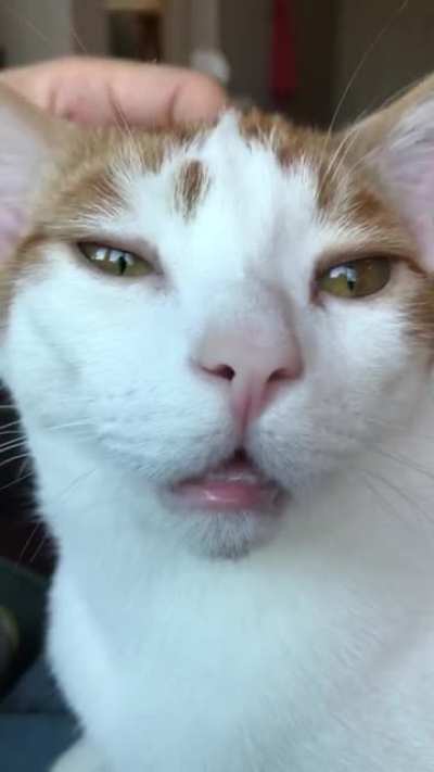He let&rsquo;s his mouth just hang open when he&rsquo;s relaxed. What a derp.