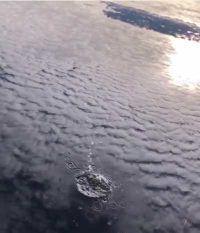Don&rsquo;t look down
