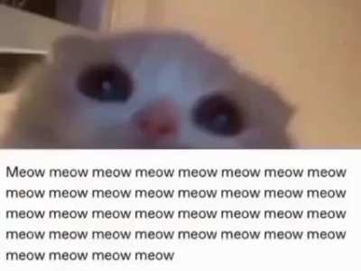  Pls Does anyone know the name of this song? It's very important