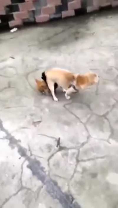 Jesus Christ!