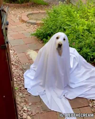 The scariest heck hound ever