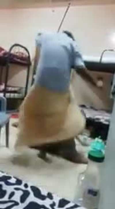 Took it too far!