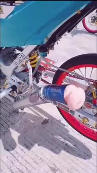MAAU - Video #4542