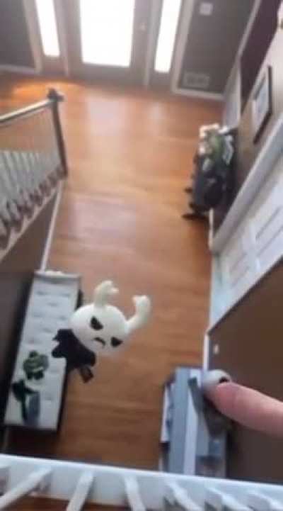 ZOTE NOOO