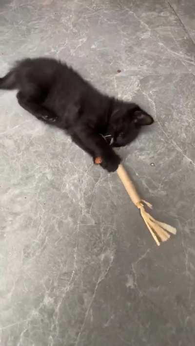 🐈&zwj;⬛👅🪄