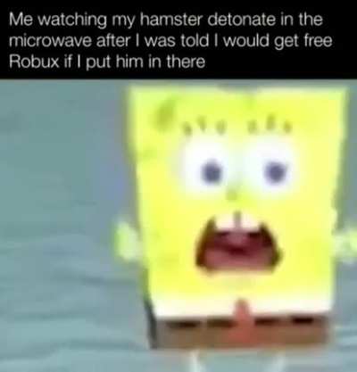 NOOOOOOO