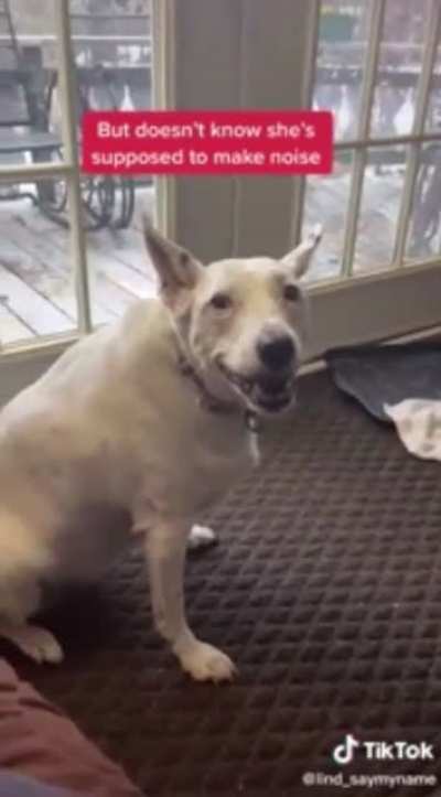 Dog thinks she&rsquo;s barking