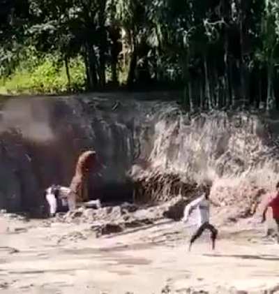 Tiger attack on man.