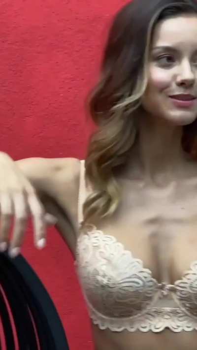 Nicola Cavanis