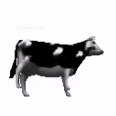 Vaca bailando