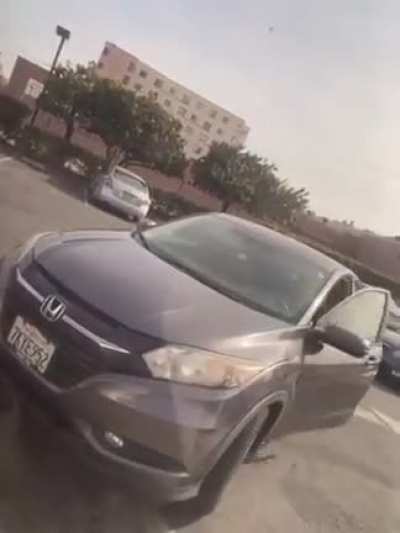 Road Rage Attack On Mother With Her Children At McDonald's Caught On Video, Woman Arrested
