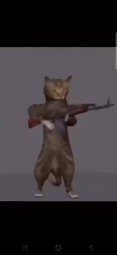 weekly caturday post
