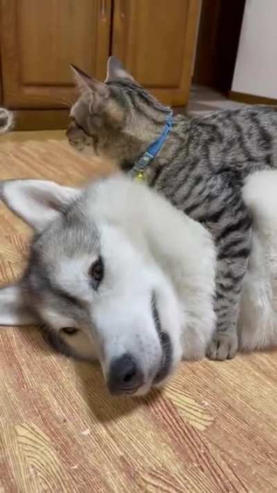 besties