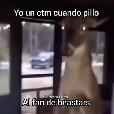 Fans de beastars😡