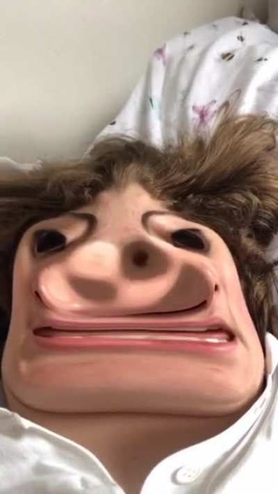 pig