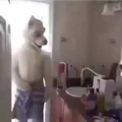 Furry_irl