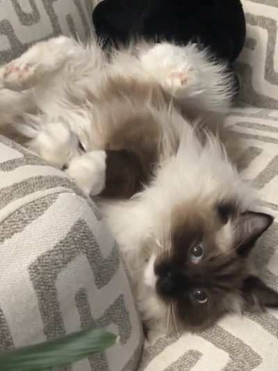 FEETSIES!!