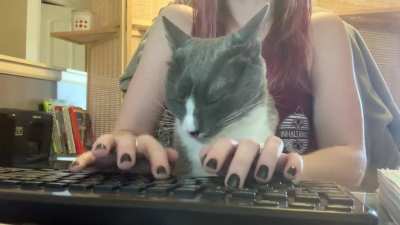 Lincoln had just about enough of me choosing to work instead of petting his face. Even though I pay the bills, he still thinks he owns the place.