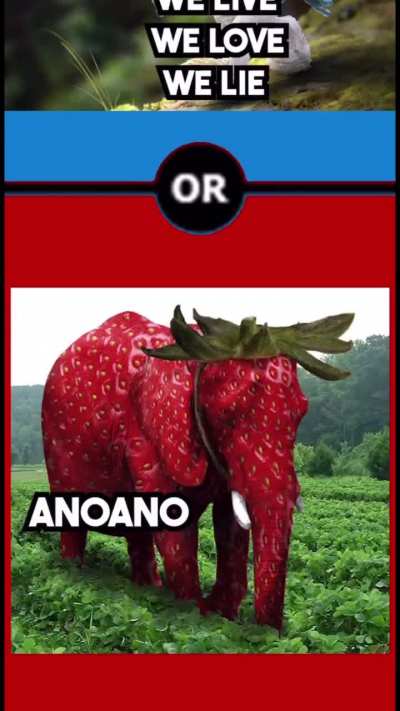 Essa eu fiquei indeciso