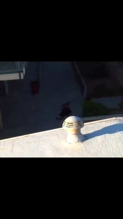 To skate off a roof
