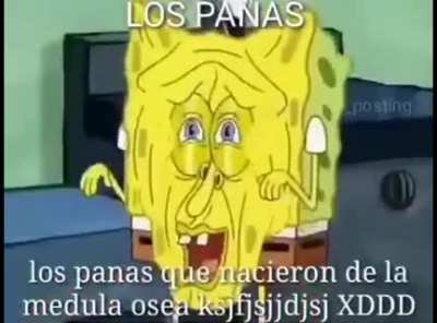 Xd