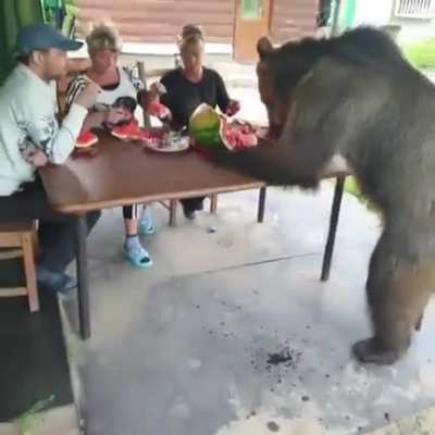 Typical Russian dinner