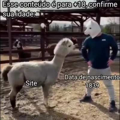 Confia😎👍