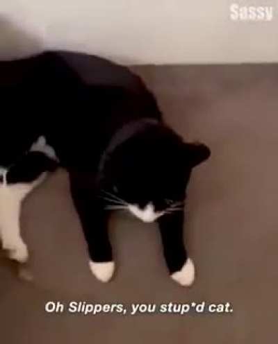 Wait for it..