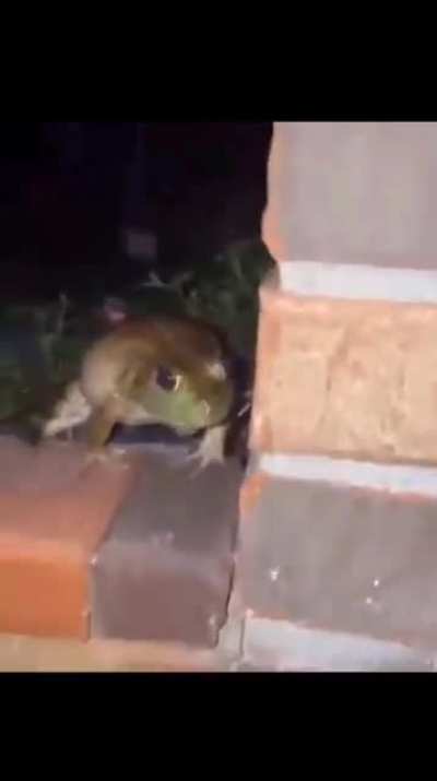 Don&rsquo;t touch meee *boop* REEEEEEE