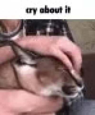 cry about it