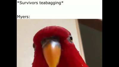 Myers Tier up (Birb Myers)