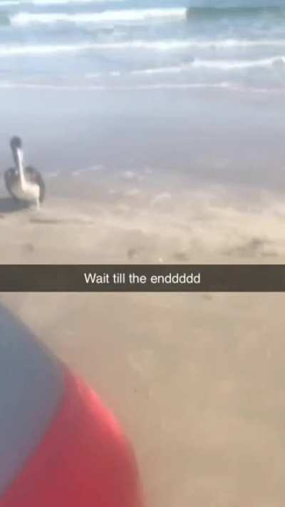 Happened to me this morning (last time video didn&rsquo;t post)