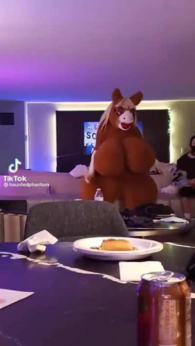 The horse is here