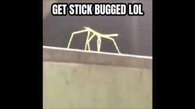 NEW DLC