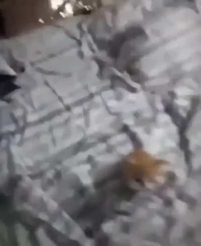 Volv&iacute; de un baneo de 3 d&iacute;as y aprend&iacute; a ocupar las banderas xD